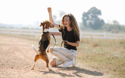 Spoil Your Furry Friend With a Pet Treat This Valentine’s Day